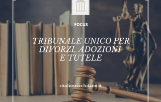 Tribunale unico per divorzi, adozioni e tutele